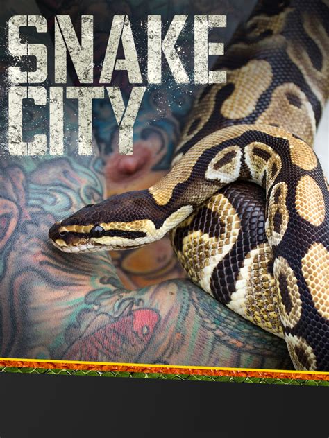 城市有蛇|城市有蛇 第一季 Snake City Season 1 第1集